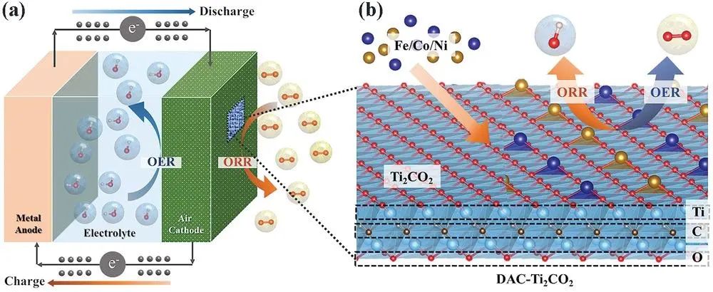 北航张瑞丰AM：基于MXene的高度稳定和活性的双功能ORR/OER双原子催化剂的合理设计