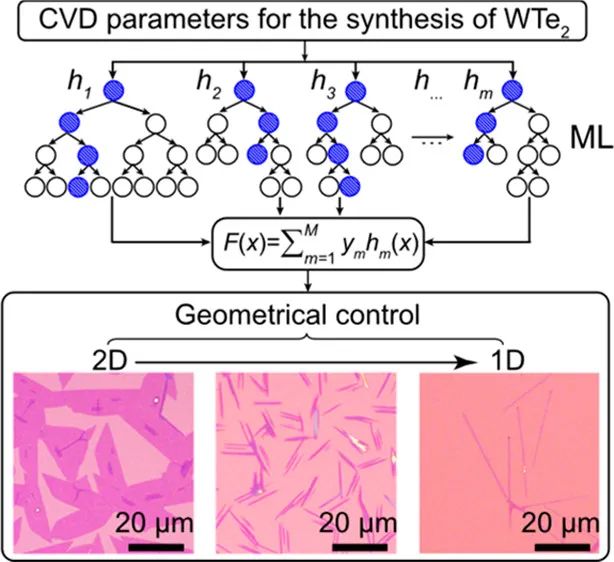 南洋理工/西北工大/西北大学JACS：机器学习驱动合成具有几何控制的少层WTe2