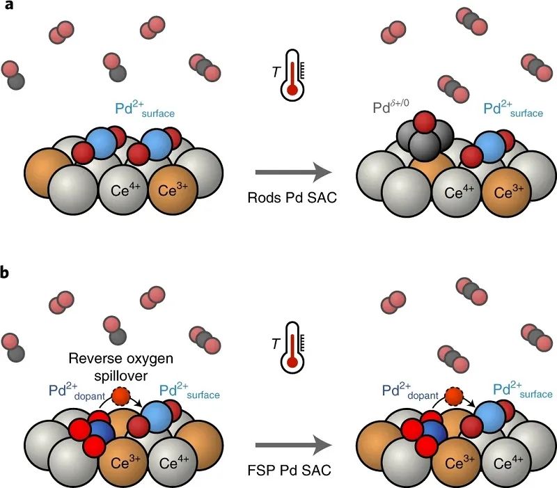 单原子催化领域，再获一篇Nature Catalysis！