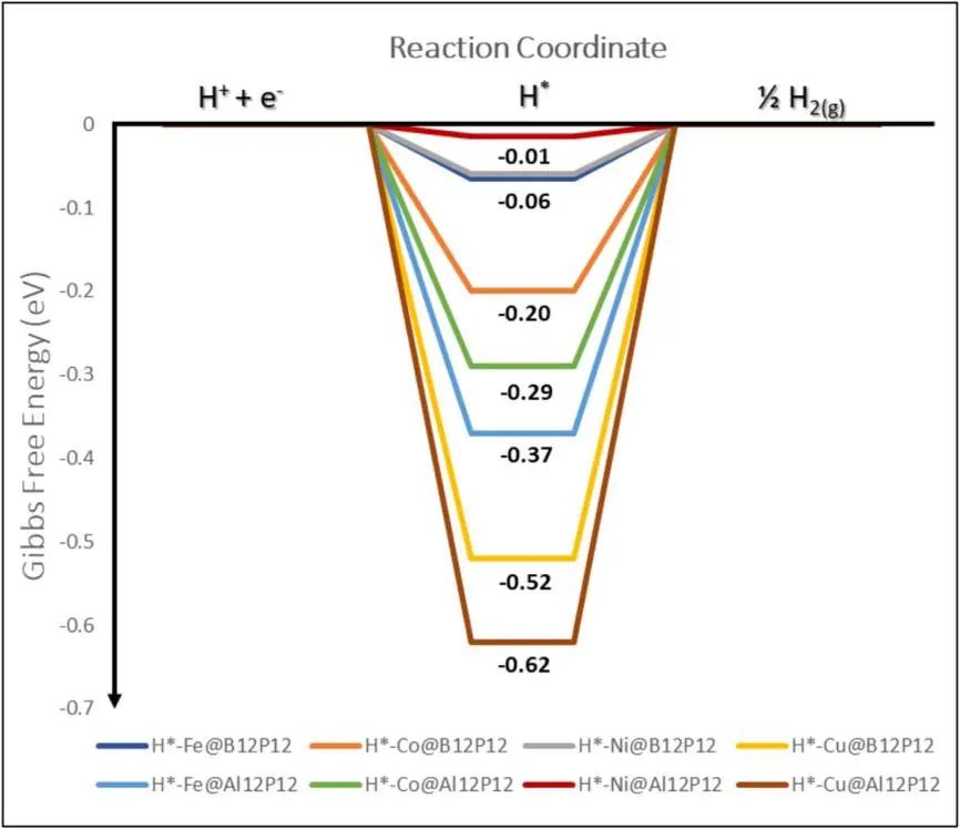 【纯计算】Int. J. Hydrogen Energy：过渡金属掺杂纳米笼作为析氢反应单原子催化剂