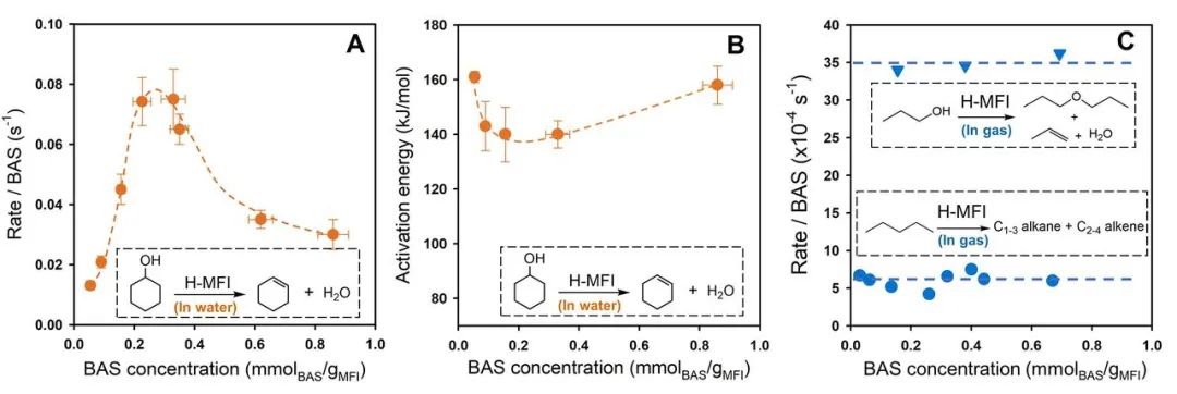 最新Science：沸石催化，再次登顶！