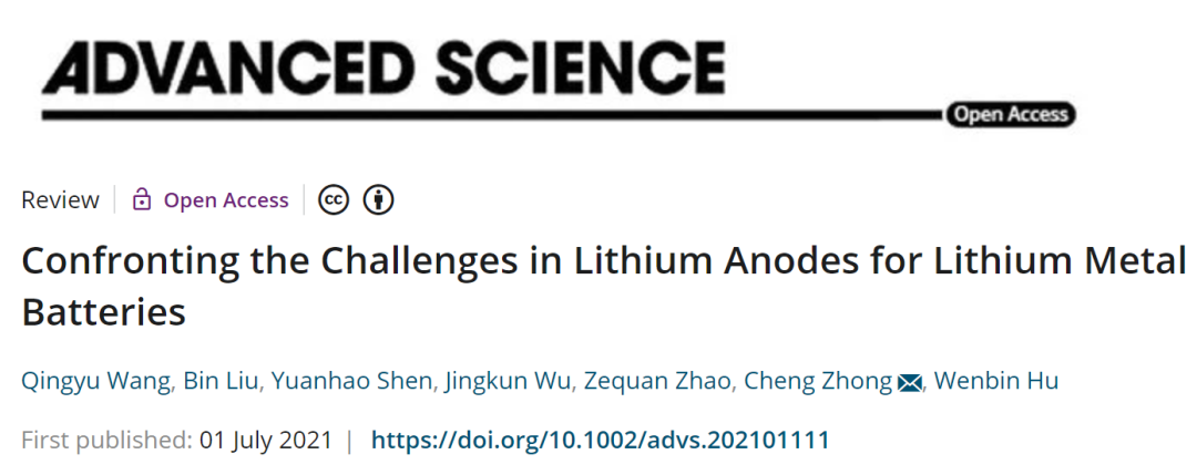 天津大学Adv. Sci.: 应对锂金属电池锂负极的挑战