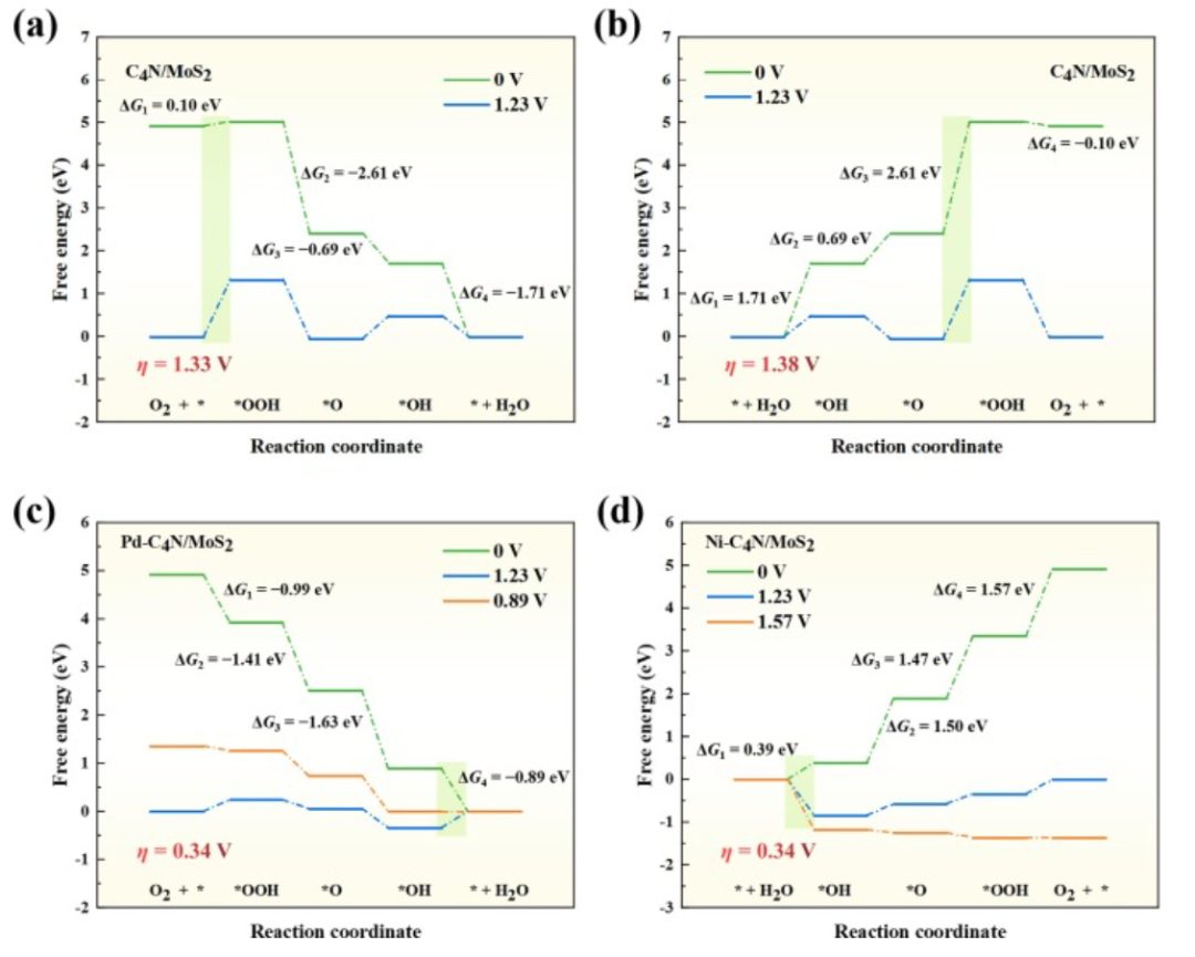 【MS纯计算】J. Colloid Interf. Sci.：用于促进氧还原、析氧和析氢的单过渡金属修饰C4N/MoS2异质结构