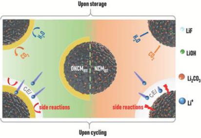 陈忠伟/王新Adv. Sci.：面向极端温度应用的锂金属电池电解质设计