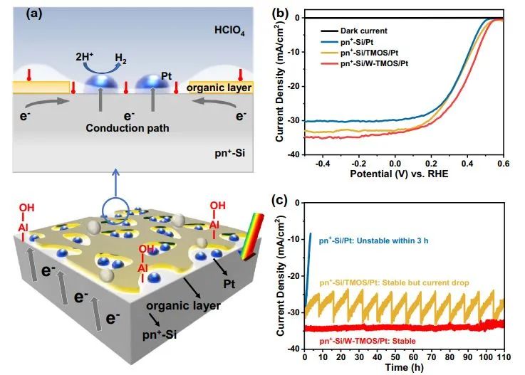 天大巩金龙Nature子刊：Pt加可湿性有机层，助力硅光电阴极稳定PEC水分解