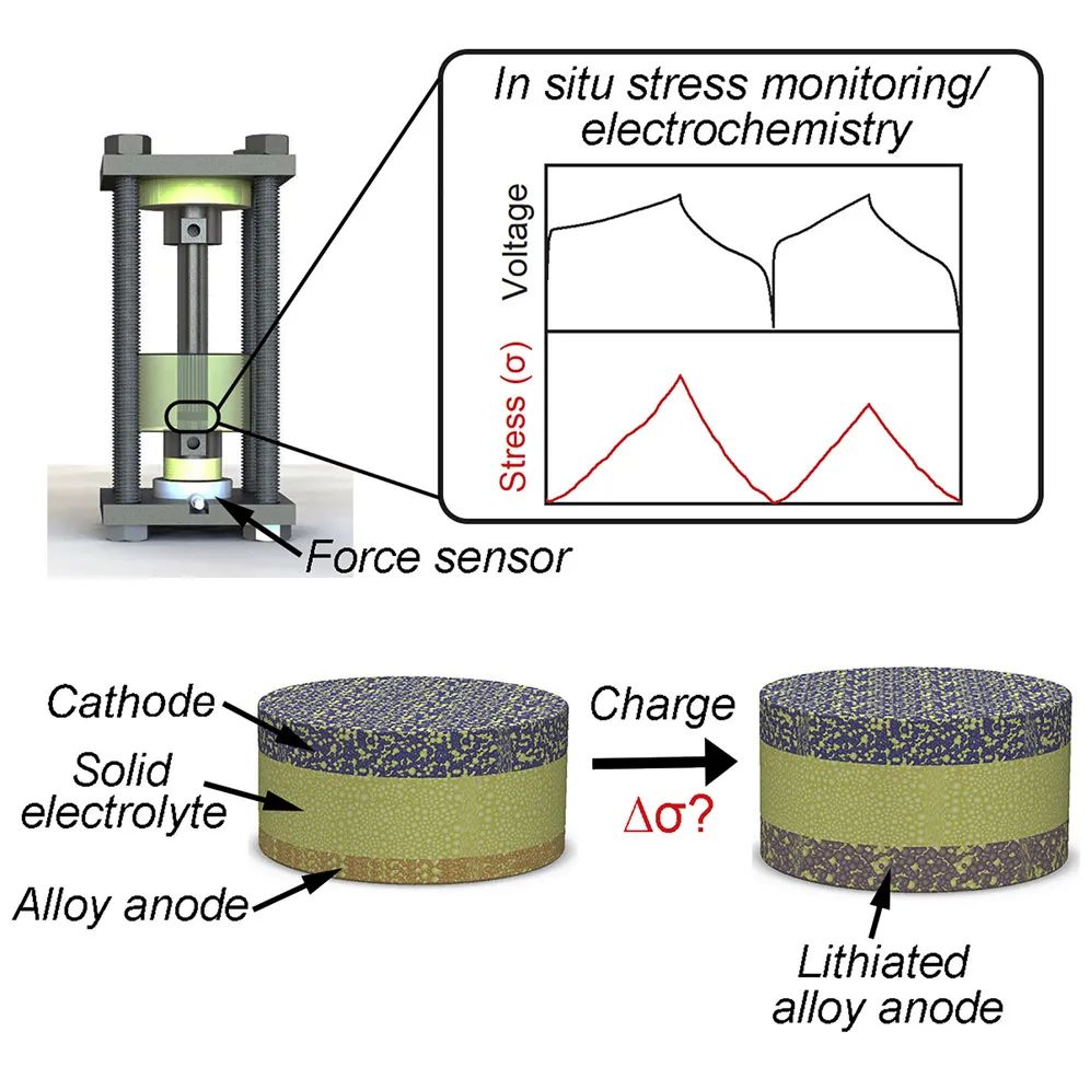 Joule：固态电池合金负极循环过程中的应力演变