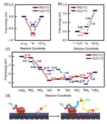 ACS Appl. Mater. Interfaces：铜和钯修饰的碳纳米带用于催化硝酸盐电还原合成氨