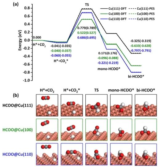 纯计算ACS Catalysis：揭示Cu表面甲酸盐分解动力学的结构敏感性！