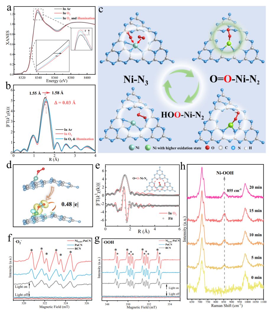 Nature子刊：揭示氮化碳上Ni单原子位点在高效光催化H2O2反应中的结构演化机制