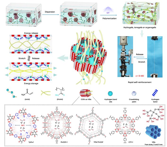 (待推送-11.20）新方法！苏州大学最新Nature Materials，解决重大难题！