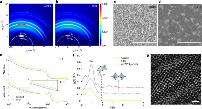 北京大学周欢萍，最新Nature！