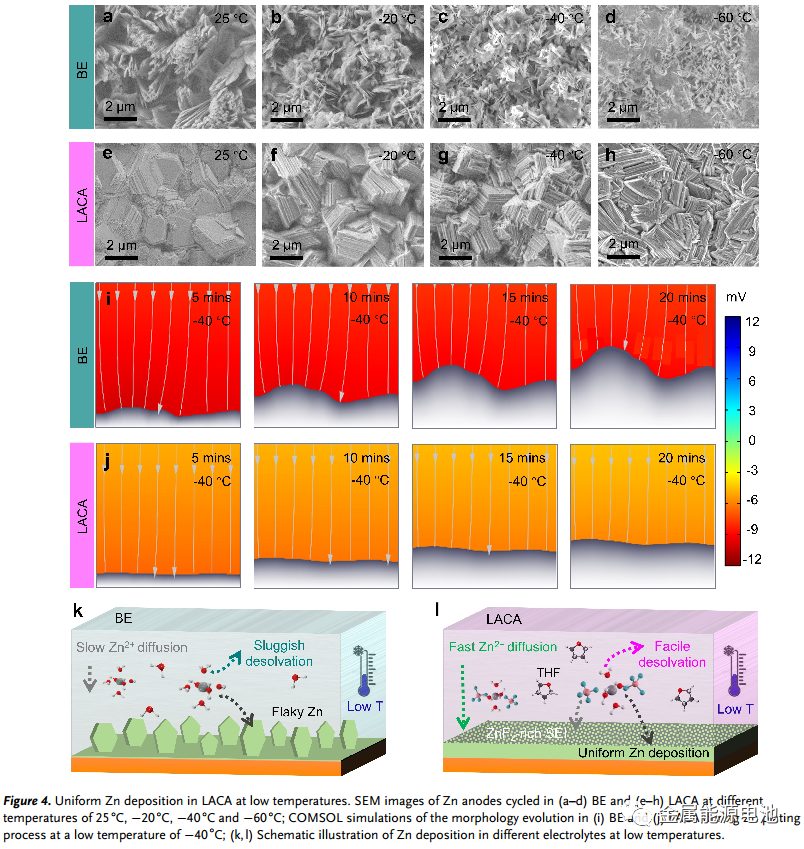 【DFT+实验】Angew：低温锌金属电池的局部阴阳离子聚集加速水电解质—Jian Yang