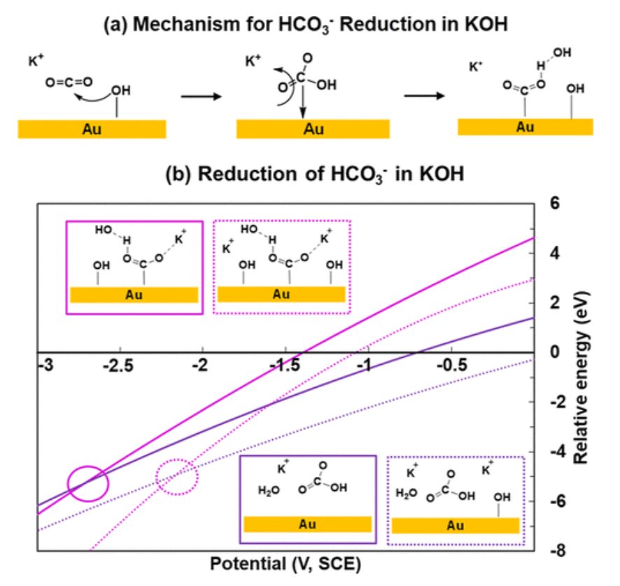 ACS Catalysis：KOH浓度的影响和OH–在CO2电催化还原中的作用