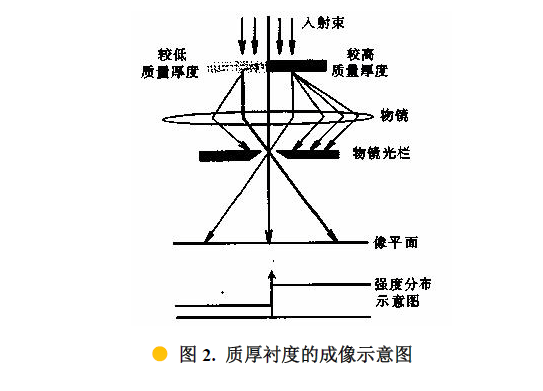 STEM是什么？扫描电镜中的透射模式！