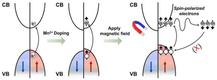 ​JACS: Mn掺杂调控钙钛矿纳米板自旋极化，增强光催化CO2还原