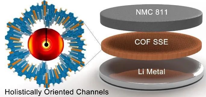 西湖大学徐宇曦Angew：共价有机骨架电解质助力高镍正极固态锂金属电池