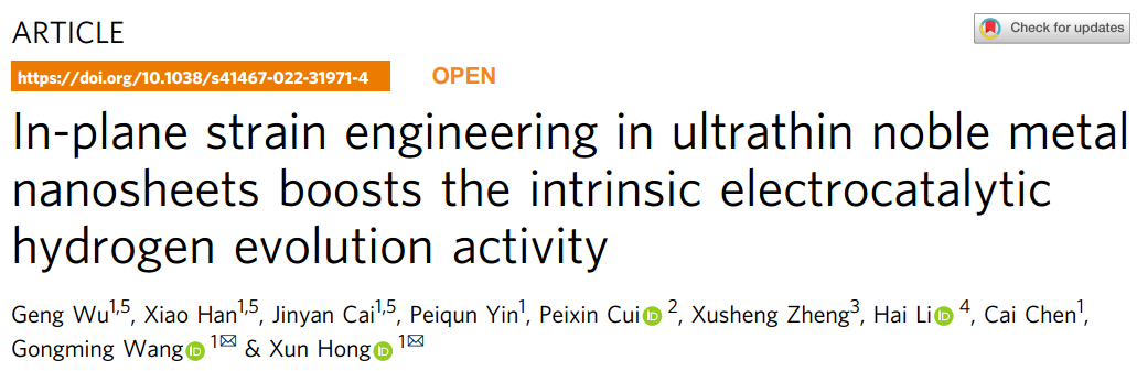 中科大JACS：面内应变提升贵金属纳米片HER活性