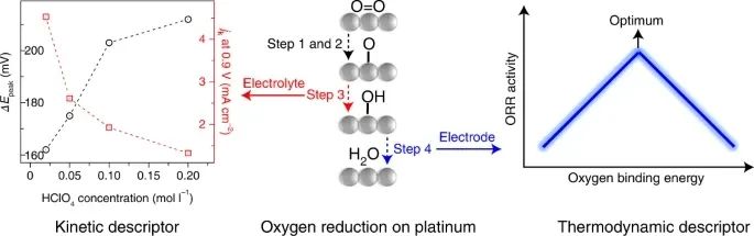 最新Nature Catalysis：电解质对Pt(111)上ORR动力学的影响