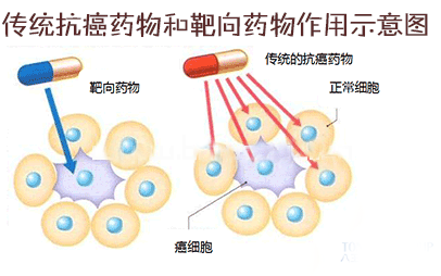 成功率仅0.02%，新冠治疗药物距离上市还有多远？| DT数说