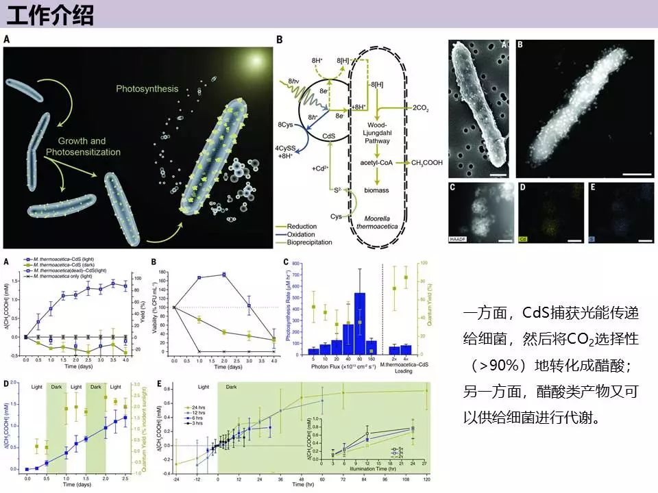 人物专谈—加州大学杨培东教授！经验分享+经典工作介绍！