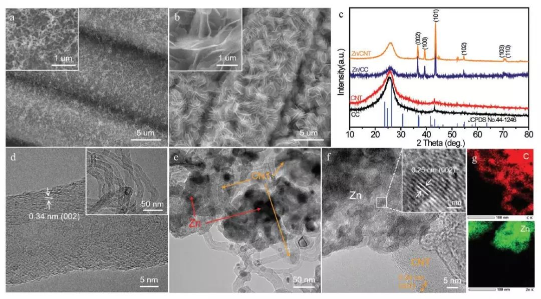 中山大学AM：多功能柔性3D碳纳米管（CNT）作为锌沉积/溶解骨架实现无树枝化锌负极