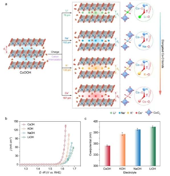 催化顶刊集锦：JACS、Nature子刊、Angew、ACS Catalysis、Adv. Sci.等成果