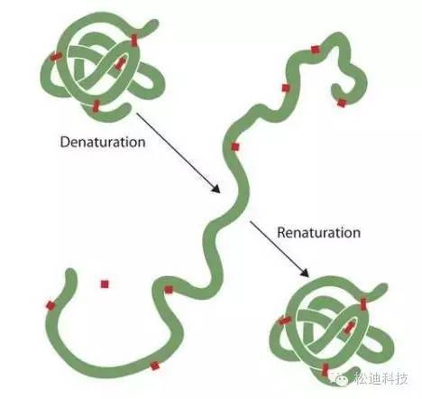 会玩！“搞笑诺贝尔奖”中那些逗逼科学家