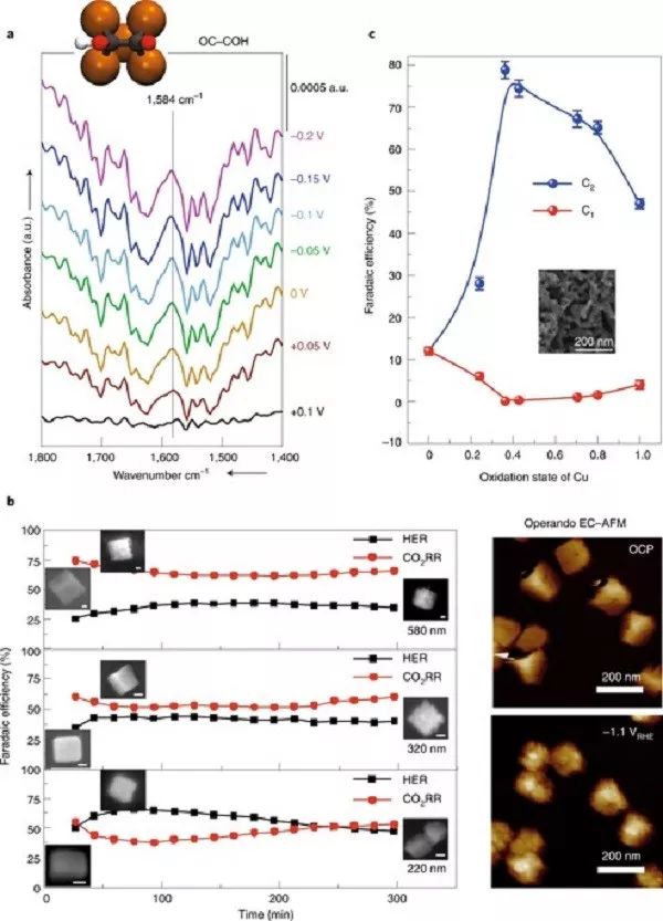 Nature Catalysis综述：多碳产物向CO2RR-催化剂及电解质设计策略