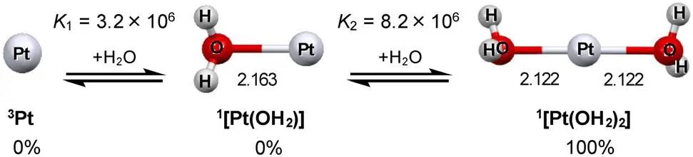 【纯计算】Dalton T.：铂亚纳米团簇催化析氢反应机理的理论研究