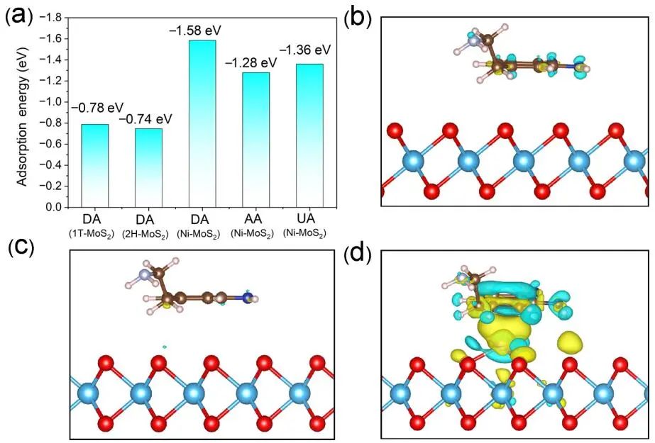 ​中科大/深大Nano Research：表面改性Ni-MoS2纳米片用于超灵敏多巴胺检测