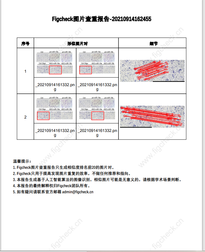 一键SCI图片查重，还永久免费！“论文工厂”没活路了！