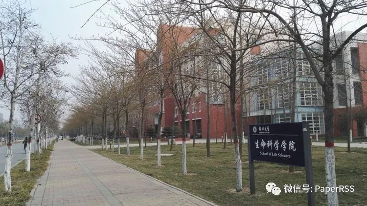 48门课满绩点，郑州大学“超强”女学霸一口气拿下清华、北大等数十个offer！