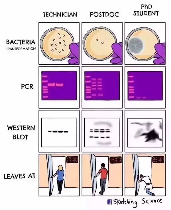 据说，这是每一个科研人的真实经历……