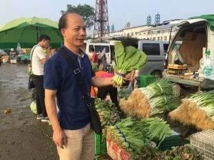 灵魂拷问！为什么PNAS的图画得往往没有Nature、Science精致？