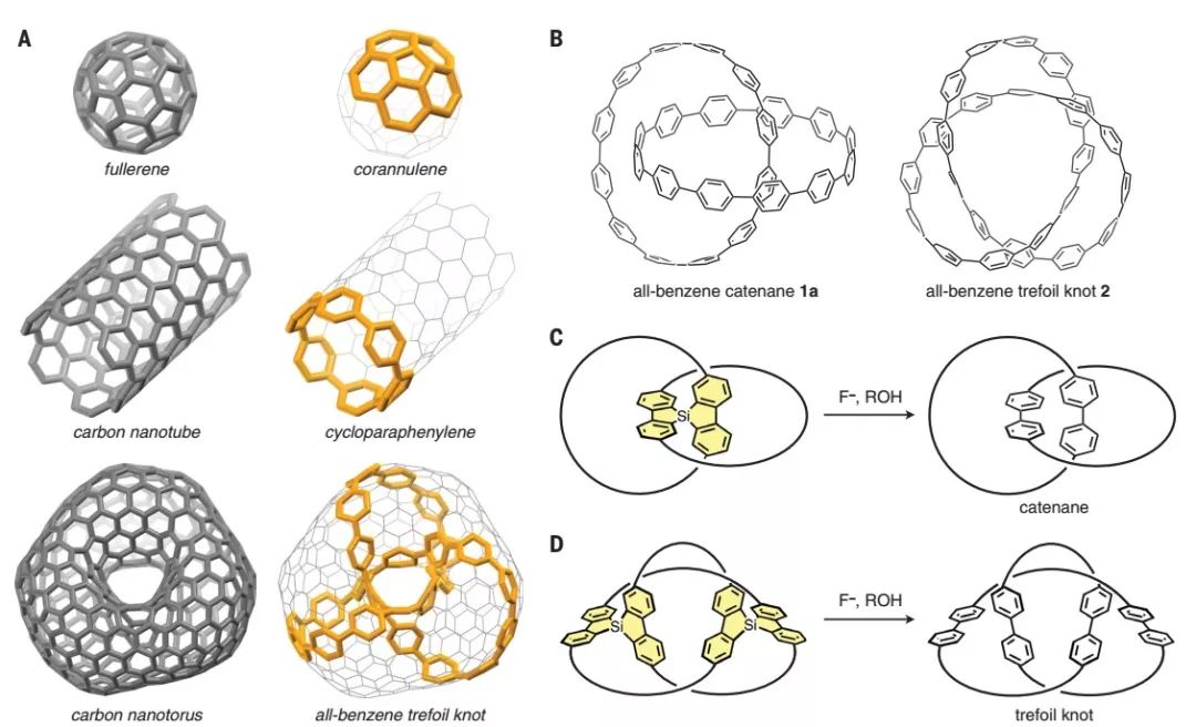 今日Science：拓扑分子纳米碳：全苯索烃和三叶形纽结