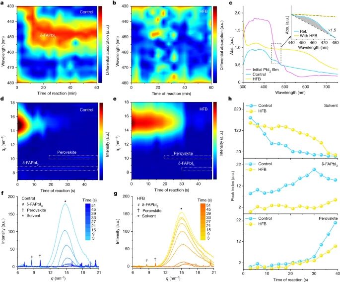 北京大学周欢萍，最新Nature！