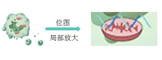 【制图干货】给SCI论文配图时，矢量图和位图有什么区别？