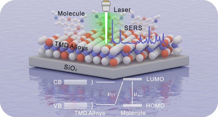 【DFT+实验】基于合金工程的连续能级调控：按需定制二维半导体SERS基底