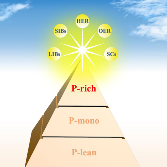 陈忠伟/王新Adv. Sci.：面向极端温度应用的锂金属电池电解质设计