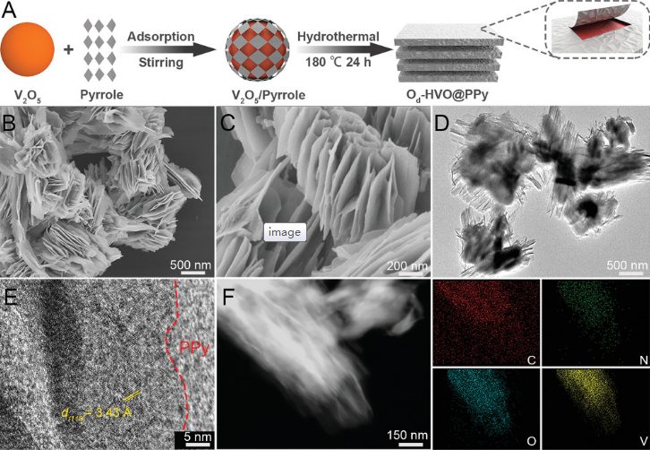 AFM：通过原位聚吡咯聚合制备氧缺陷VO2·xH2O纳米片实现高性能水系锌离子电池