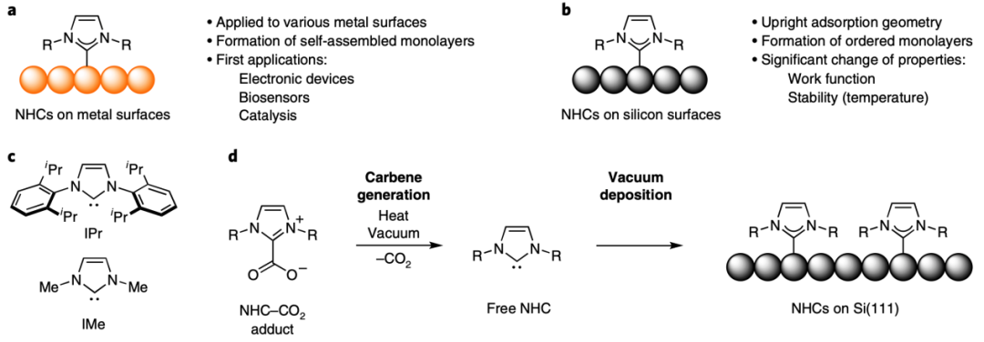 Nature Chemistry：鉴定结合键！硅表面单分子层的生长