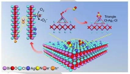 张礼知/艾智慧/毛成梁Angew：三角形位点起大作用，助力BiOCl光催化分子氧活化和选择性NO氧化