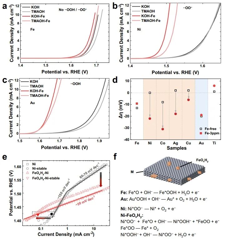 Nature子刊：剖幽析微！活性氧介导金属氢氧化物上铁促进电催化析氧反应