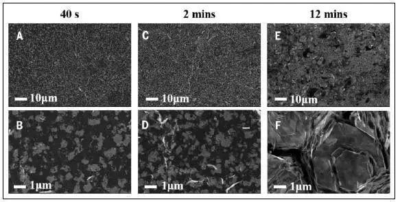 博三一作发Science的他：大三就有12篇一作SCI 系上交毕业生