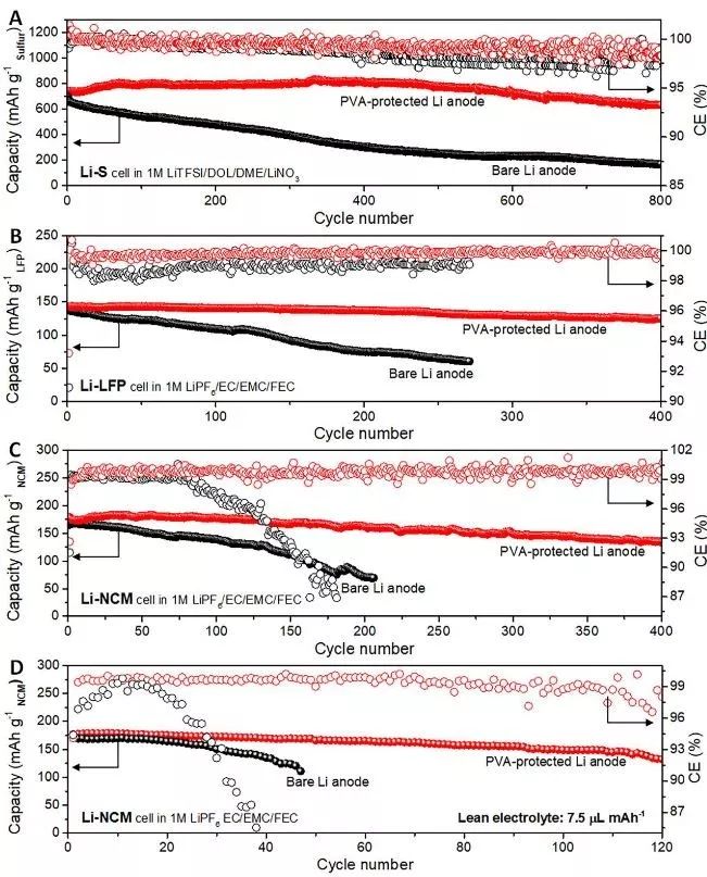 王东海教授课题组Nano Energy：聚乙烯醇界面保护，助力高稳定性锂金属负极