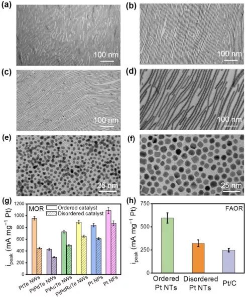 【催化】中科大俞书宏等JACS：定向微电场助力有序纳米结构催化剂提高电催化性能