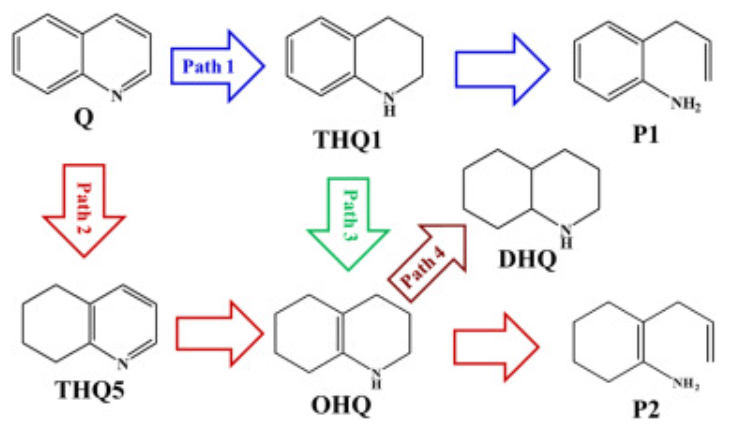 【MS论文精读】太原理工Molecular Catalysis：喹啉在MoP（010）表面的加氢脱氮机理研究