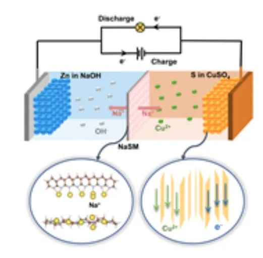 ​南洋理工范红金/吉大杜菲AM：高硫负载和单离子选择膜用于高能耐用的解耦水系电池