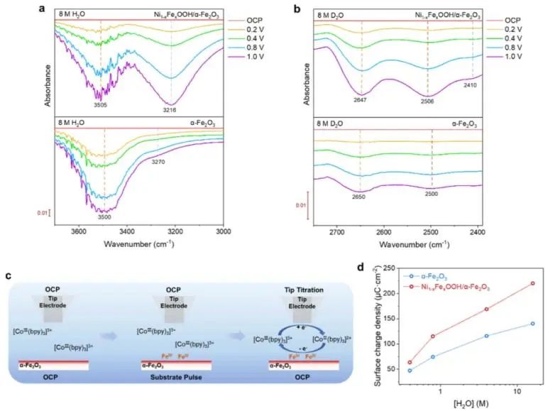 催化顶刊集锦：JACS、Nature子刊、Angew、ACS Catalysis、Adv. Sci.等成果