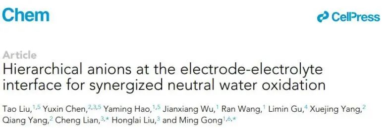 复旦/华理Chem: 电极-电解质界面的分级阴离子实现协同催化中性水氧化